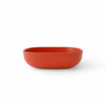 salad-bowl-persimmon.jpg